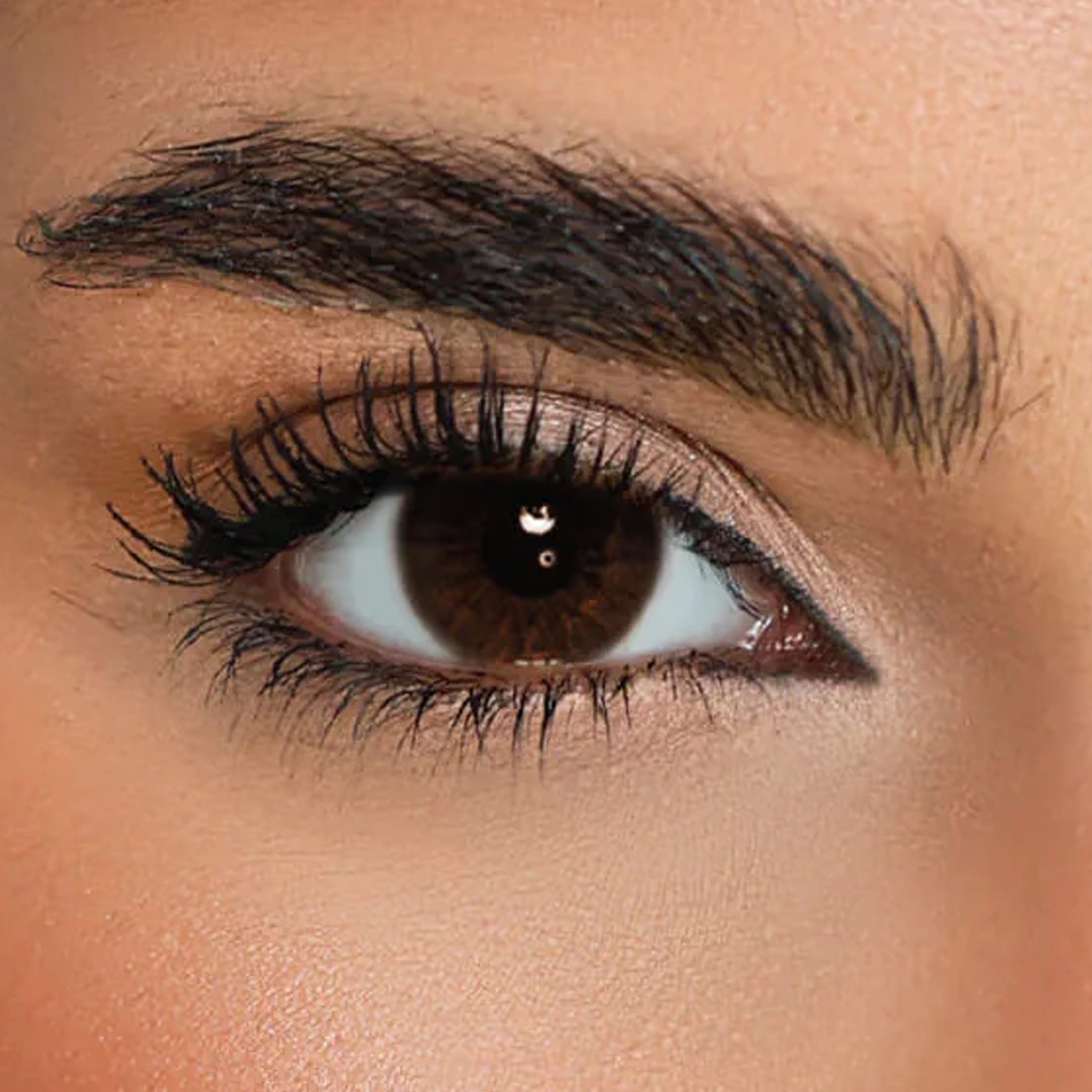 Quarterly Contact Lenses - Black Coffee